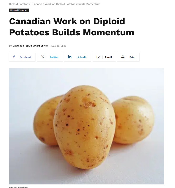 Progest 2001 Inc. takes the Lead in Canada’s Diploid Potato Innovation Push
